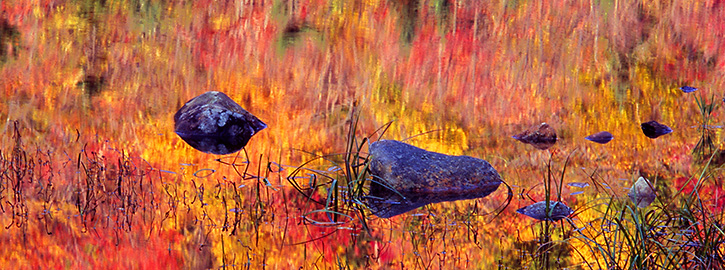 Beaver Pond Panoramic Reflection in Fall, NH 